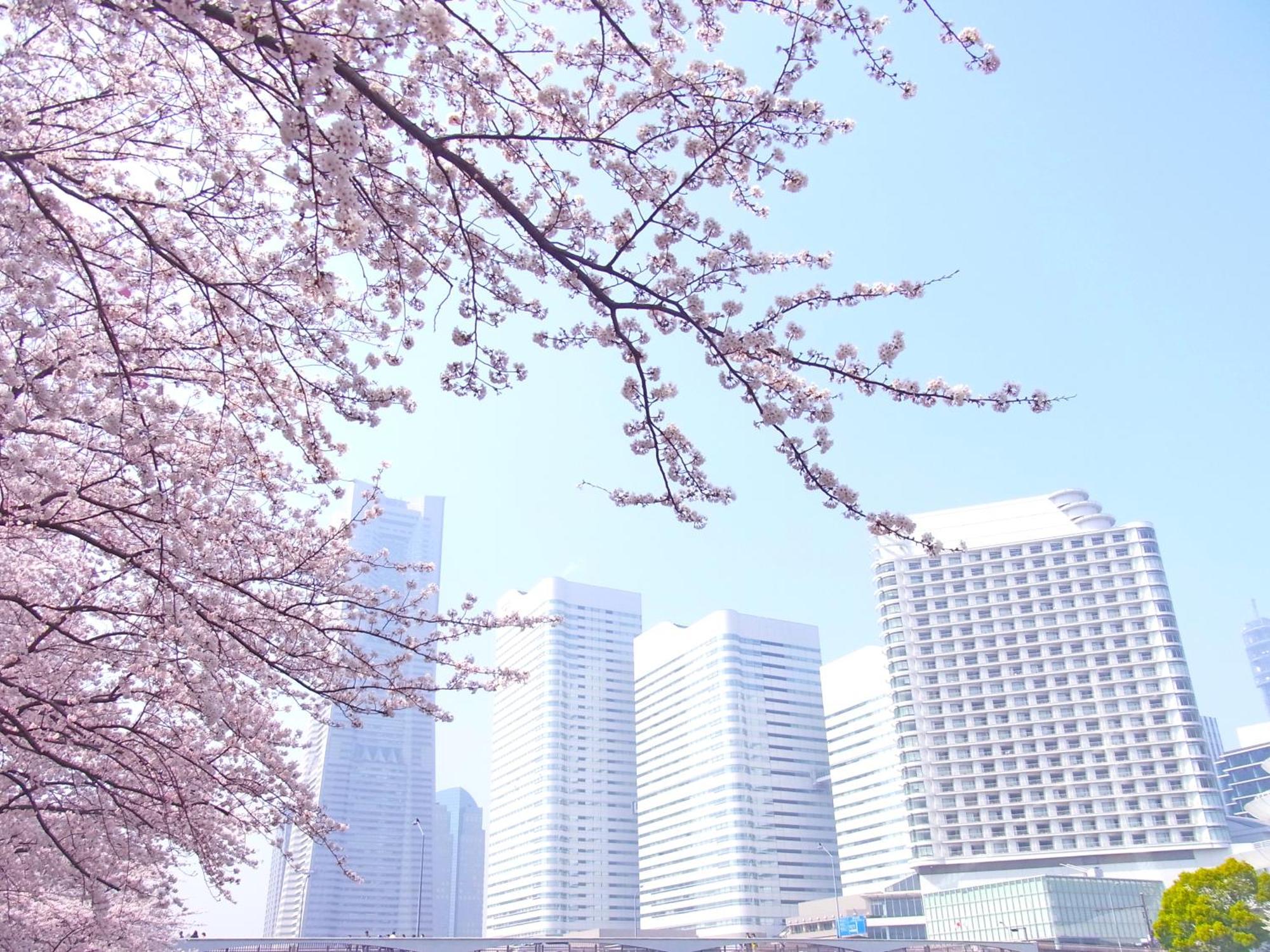 酒店 The Yokohama Bay Tokyu